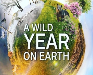 Download A Wild Year On Earth Season 1 (English With Subtitle) WeB-DL 720p [420MB] || 1080p [1GB]