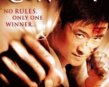 Download Fatal Contact (2006) Dual Audio (Hindi-Chinese) 480p [340MB] || 720p [875MB]