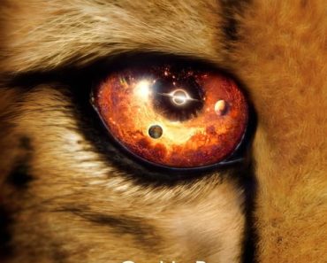 Download Our Universe (Season 1) Dual Audio {Hindi-English} With Esubs WeB- DL 720p 10Bit [400MB] || 1080p [700MB]