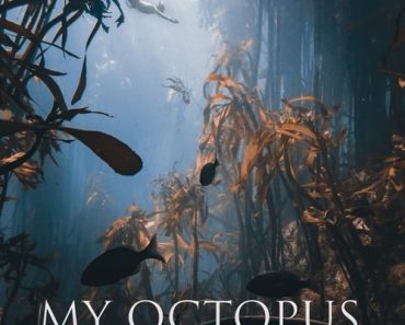 Download My Octopus Teacher (2020) {English With Subtitles} 480p [MB] || 720p [MB]