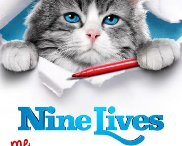 Download Nine Lives (2016) {English With Subtitles} 480p [450MB] || 720p [900MB] || 1080p [2GB]