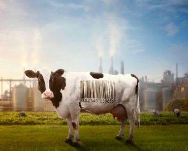 Download Food, Inc. 2 (2023) {English With Subtitles} 480p [300MB] || 720p [800MB] || 1080p [2GB]