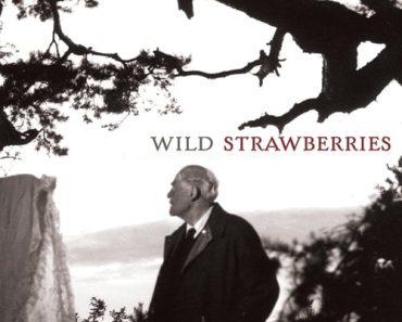 Download Wild Strawberries (1957) {English With Subtitles} 480p [400MB] || 720p [800MB]
