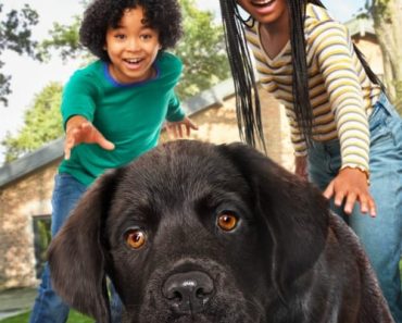 Download Puppy Place (Season 1-2) {English With Subtitles} WeB-DL 720p 10Bit [120MB] || 1080p [450MB]