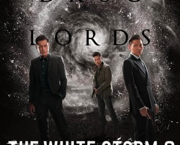 Download The White Storm 2: Drug Lords (2019) Dual Audio (Hindi-Chinese) 480p [300MB] || 720p [1GB] || 1080p [2GB]