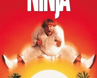 Download Beverly Hills Ninja (1997) Dual Audio (Hindi-English) 480p [350MB] || 720p [850MB] || 1080p [1.9GB]
