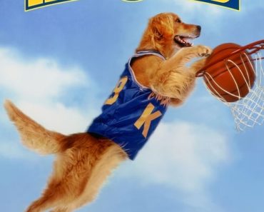 Download Air Bud (1997) Dual Audio (Hindi-English) WeB-DL 480p [300MB] || 720p [880MB] || 1080p [1.88GB]