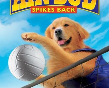 Download Air Bud – Spikes Back (2003) Dual Audio (Hindi-English) WeB-DL 480p [280MB] || 720p [780MB] || 1080p [1.76GB]