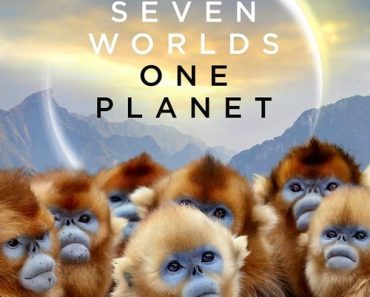 Download Seven Worlds One Planet (Season 1) {English With Subtitles} WeB-DL 720p [450MB] || 1080p 10Bit [1.2GB]