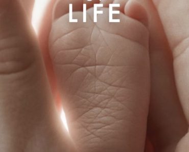 Download The Tree Of Life (2011) {English With Subtitles} 480p [750MB] || 720p [1.7GB]
