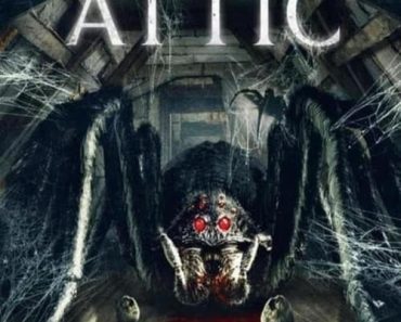 Download Spider In The Attic (2021) Dual Audio (Hindi-English) 480p [300MB] || 720p [999MB]