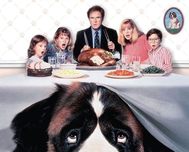 Download Beethoven (1992) Dual Audio (Hindi-English) 480p [320MB] || 720p [900MB] || 1080p [3.8GB]