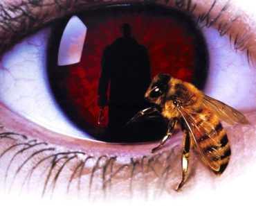 Download Candyman (1992) {English With Subtitles} 480p [400MB] || 720p [850MB]
