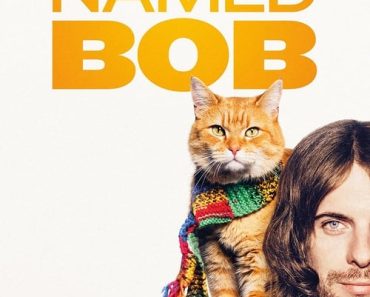 Download A Street Cat Named Bob (2016) {English With Subtitles} 480p [400MB] || 720p [800MB]