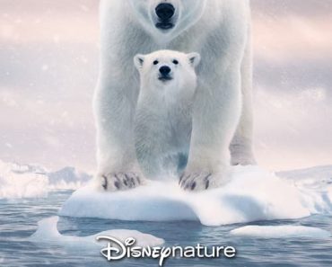 Download Polar Bear (2022) {English With Subtitles} 480p [250MB] || 720p [700MB] || 1080p [2.4GB]