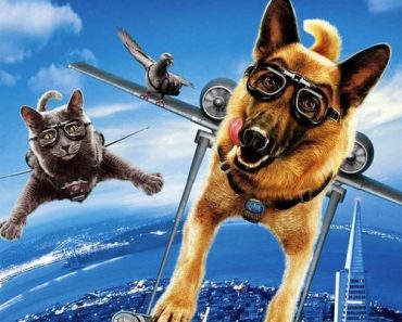 Download Cats & Dogs: The Revenge Of Kitty Galore (2010) Dual Audio {Hindi-English} 480p [270MB] || 720p [880MB] || 1080p [1.4GB]