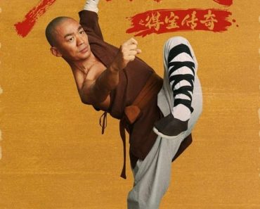 Download Rising Shaolin: The Protector (2021) Dual Audio {Hindi-Chinese} WEB-DL 480p [320MB] || 720p [1GB]