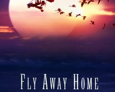 Download Fly Away Home (1996) Dual Audio {Hindi-English} BluRay 480p [360MB] || 720p [970MB] || 1080p [2.2GB]