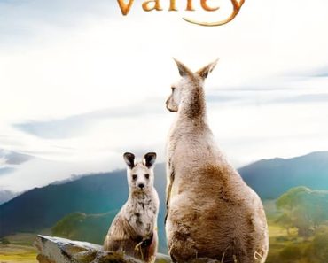 Download Kangaroo Valley (2022) Dual Audio {Hindi-English} WEB-DL ESubs 480p [250MB] || 720p [700MB] || 1080p [1.6GB]
