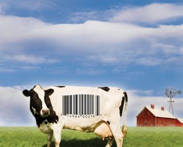 Download Food, Inc. (2008) {English With Subtitles} 480p [300MB] || 720p [800MB] || 1080p [1.8GB]