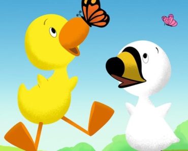 Download Duck & Goose Season 1 Dual Audio (Hindi-English) Esubs WeB-DL 720p [100MB] || 1080p [500MB]
