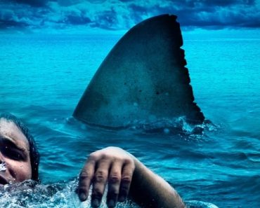 Download The Reef (2010) {English With Subtitles} 480p [300MB] || 720p [700MB]
