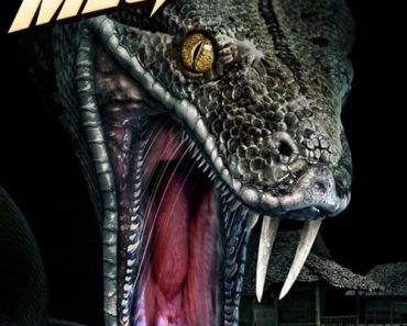 Download Megaboa (2021) Dual Hindi {Hindi-English} Bluray 480p [290MB] || 720p [790MB] || 1080p [1.8GB]