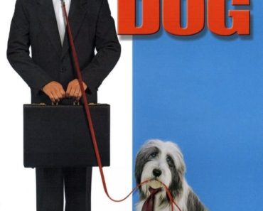 Download The Shaggy Dog (2006) Dual Audio (Hindi-English) 480p [300MB] || 720p [1GB]