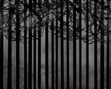 Download Green Border (2023) {Polish With Subtitles} 480p [600MB] || 720p [1.2GB] || 1080p [3.2GB]