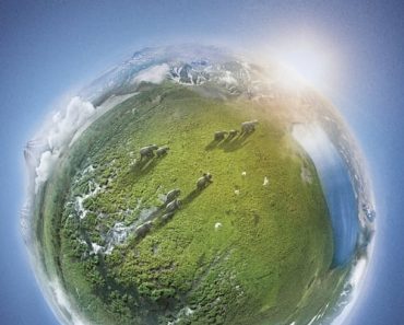 Download Planet Earth (Season 1-3) Dual Audio {Hindi-English} WeB-HD 720p 10Bit [280MB] || 1080p [950MB]