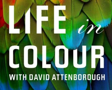 Download Netflix Life In Colour (Season 1) {English With Subtitles} 720p WeB-HD [450MB]