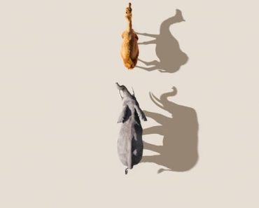 Download Mammals (Season 1) [S01E06 Added] {English With Subtitles} WeB-DL 720p [470MB] || 1080p [2.7GB]
