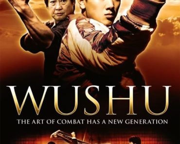 Download Jackie Chan Presents: Wushu (2008) Dual Audio (Hindi-English) 480p [400MB] || 720p [1.2GB]
