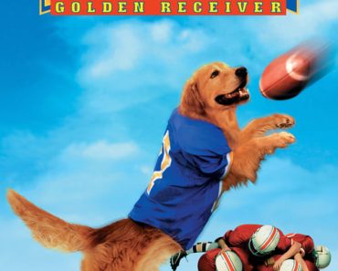 Download Air Bud: Golden Receiver (1998) Dual Audio (Hindi-English) 480p [300MB] || 720p [800MB] || 1080p [1.81GB]