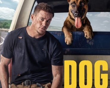 Download Dog (2022) Dual Audio (Hindi-English) 480p [300MB] || 720p [900MB] || 1080p [2.1GB]