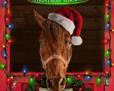 Download Ace & The Christmas Miracle (2021) {English With Subtitles} 480p [300MB] || 720p [800MB] || 1080p [1.8GB]