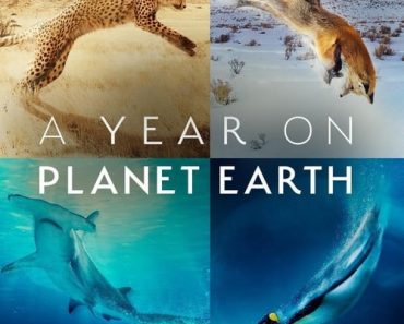 Download A Year On Planet Earth Season 1 (English With Subtitle) WeB-DL 720p [400MB] || 1080p [900MB]