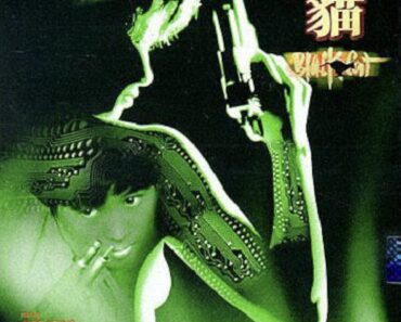 Download Black Cat (1991) Dual Audio (English-Chinese) Bluray 480p [350MB] || 720p [950MB] || 1080p [1.88GB]