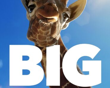 Download Big Beasts (Season 1) {English With Subtitles} WeB-DL 720p [250MB] || 1080p [600MB]