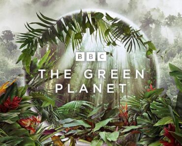 Download The Green Planet Season 1 2022 {English With Subtitles} 720p 10bit [300MB] || 1080p [1.7GB]
