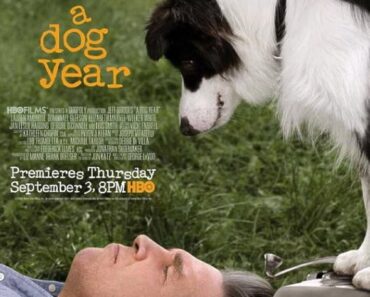 Download A Dog Year (2009) (English Audio) Esubs Web-Dl 480p [240MB] || 720p [650MB] || 1080p [1.6GB]